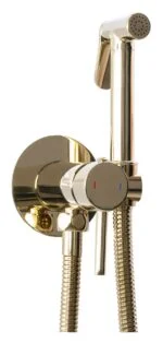 Zenith kit wc a encastre gold 1,2m