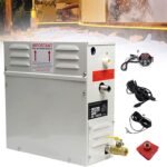 Générateur de vapeur 4kw 220