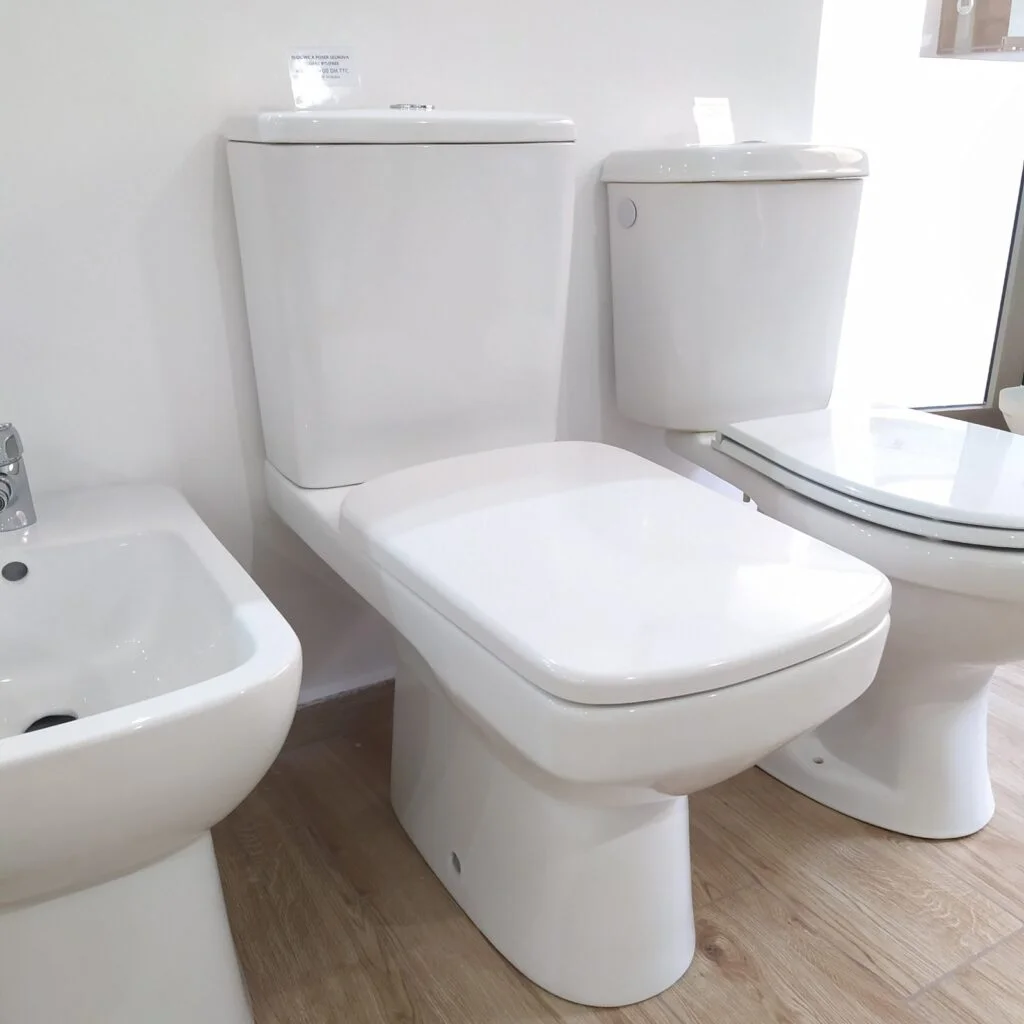 Bloc WC à Poser Selnova Square Rimfree Geberit