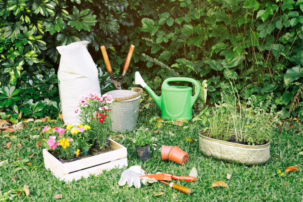 Économiser l'eau dans son jardin