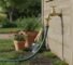 Robinet de Jardin : Guide Complet pour Choisir et Installer