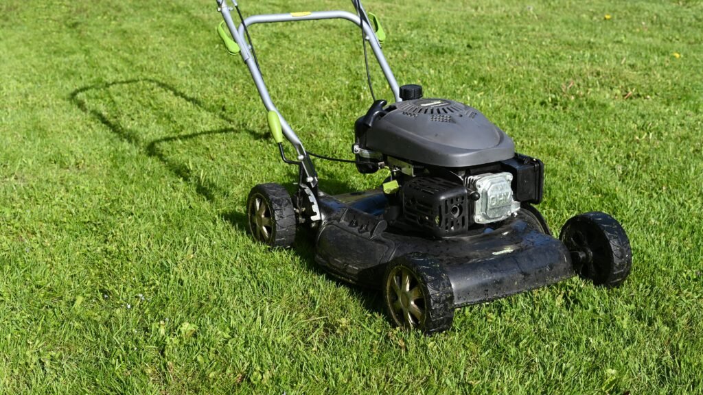 scarificateur électrique gazon