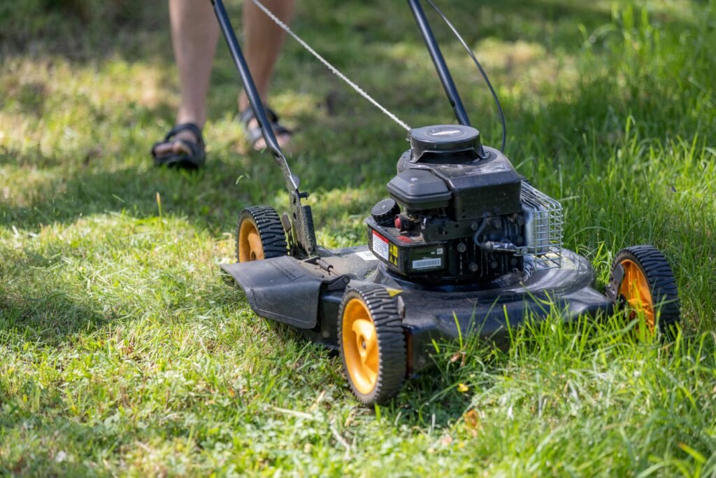 scarificateur électrique gazon