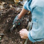 composteur jardin