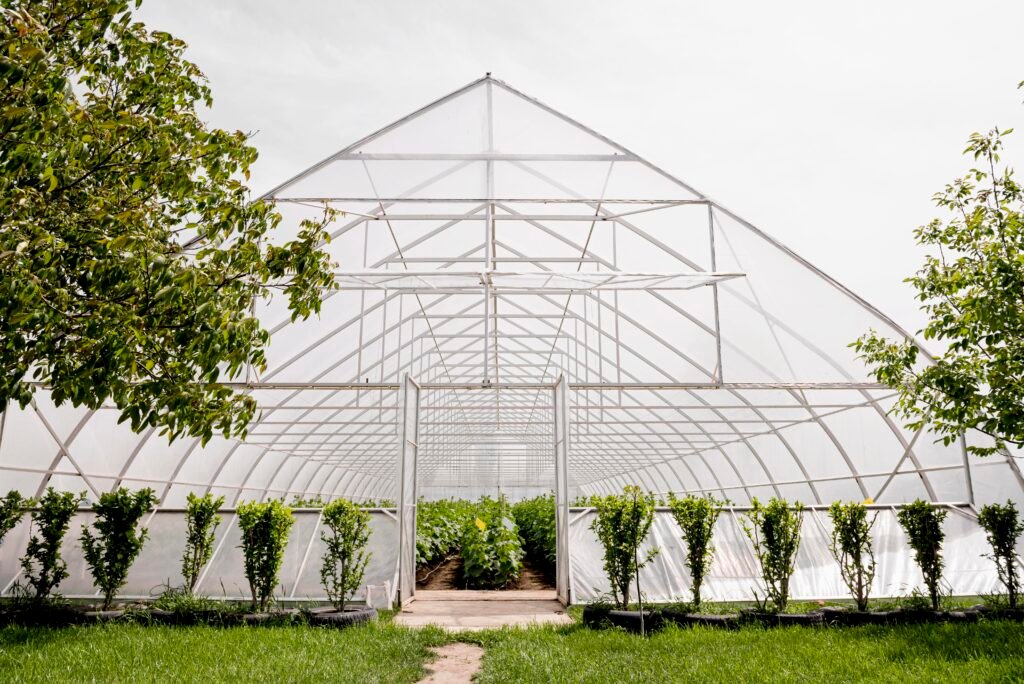 serre jardin polycarbonate