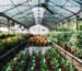 serre jardin polycarbonate