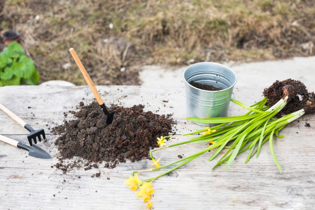 composteur jardin