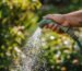 Tout savoir sur arrosage avant d'acheter