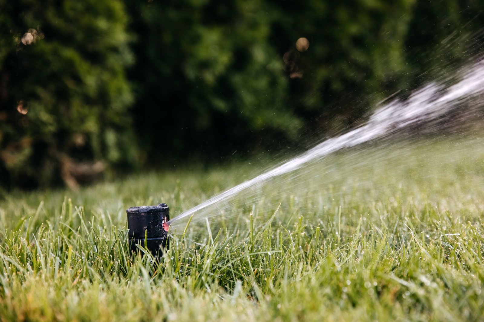 Tout savoir sur arrosage avant d'acheter
