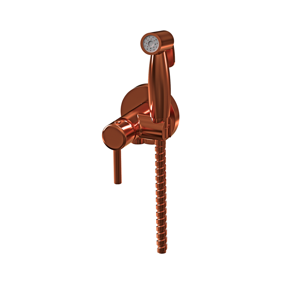 Kit wc encastre bronze BARCA Robimed R60009 finition bronze brossé