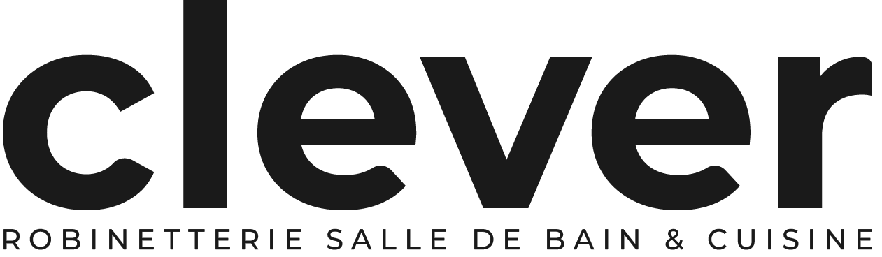 Logo Clever